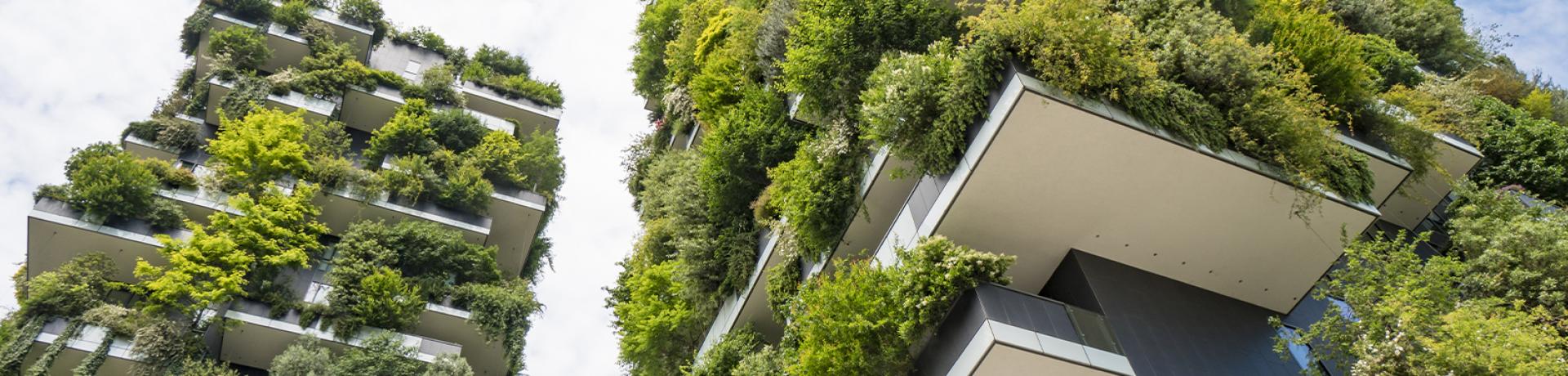 Territoires et environnement TEN